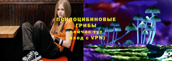 спиды Заволжье